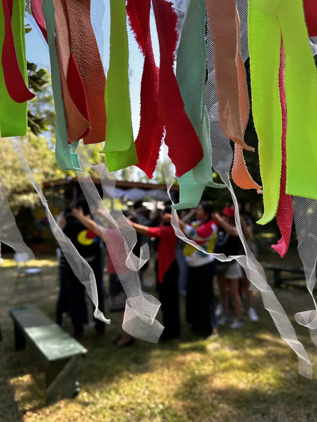 Cintas de colores colgando de los árboles en una jornada Juegarte